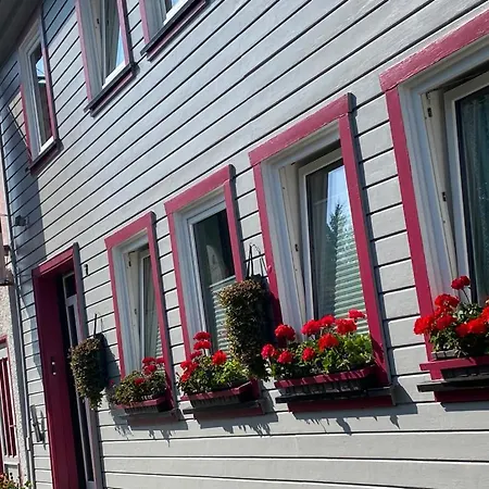 Apartment Harz House Trautenstein