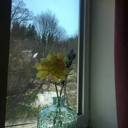 Harz House Trautenstein