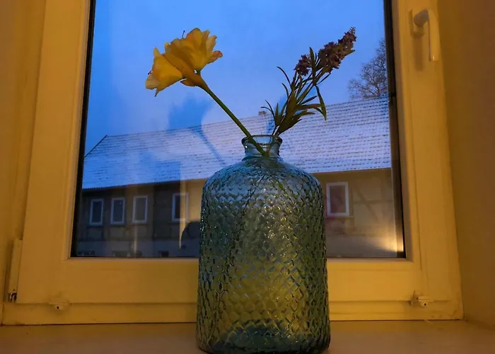 Lejlighed Harz House Trautenstein