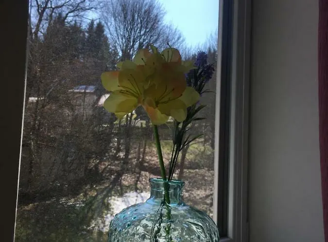 Harz House Trautenstein