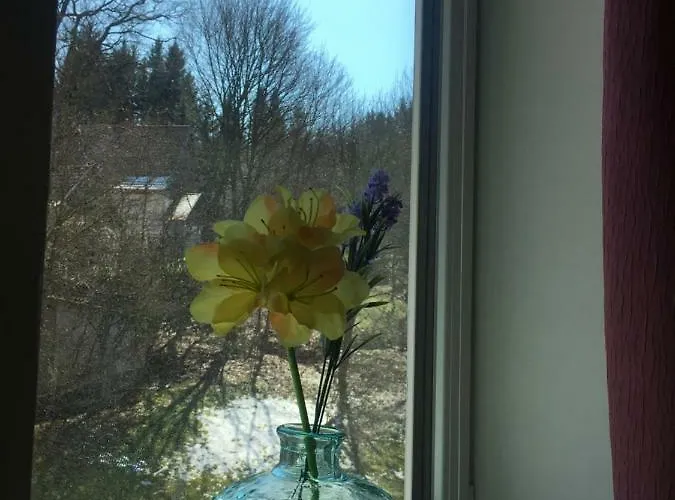 Harz House Trautenstein